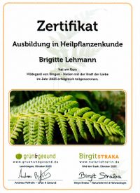 Hildegard von Bingen Brigitte